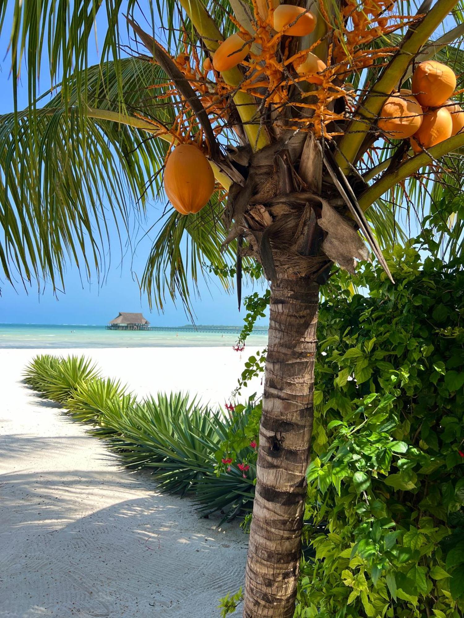 Karibu Beach Resort Понгве Экстерьер фото